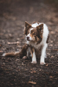27012022 (329)
