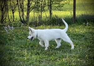 IMG_8140